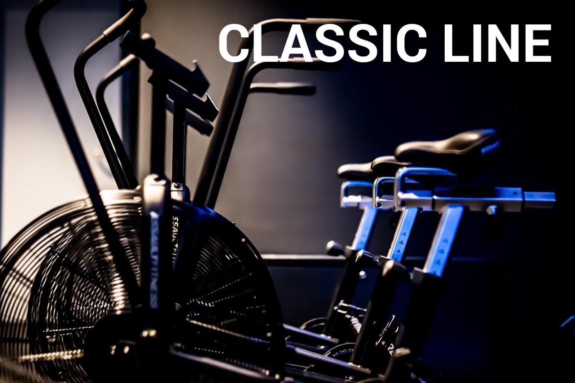 AssaultBike Airbike Classic Libe